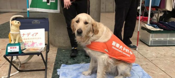 盲導犬チャリティ募金、東京ビックサイト:3月20日(月) 盲導犬チャリティ募金、東京ビックサイト:3月20日(月)