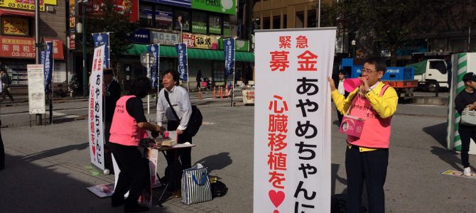 あやめちゃんの心臓移植のための募金活動 10月5日 社会福祉・障がい者支援委員会 あやめちゃんの心臓移植のための募金活動 10月5日 社会福祉・障がい者支援委員会