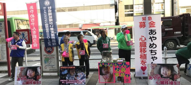 あやめちゃんの心臓移植の為の募金活動 11月7日 京成上野駅前 あやめちゃんの心臓移植の為の募金活動 11月7日 京成上野駅前
