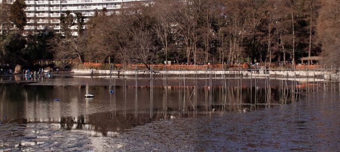 井の頭公園開園100年記念かいぼり例会 1月13・14日 東京吉祥寺LC 井の頭公園開園100年記念かいぼり例会 1月13・14日 東京吉祥寺LC