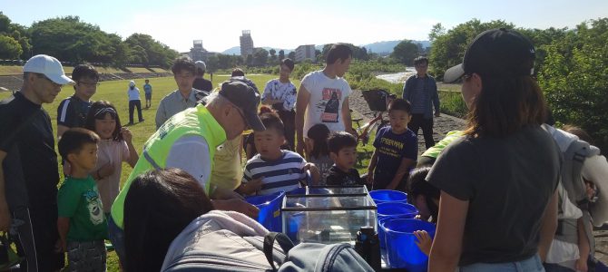 「川で遊ぼう」もどってきたきれいな浅川 5月20日 東京桑都LC 「川で遊ぼう」もどってきたきれいな浅川 5月20日 東京桑都LC