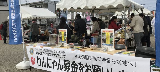 北海道胆振東部地震で被災したペット達への募金活動 12月9日(日) 東京江戸川南LC 北海道胆振東部地震で被災したペット達への募金活動 12月9日(日) 東京江戸川南LC