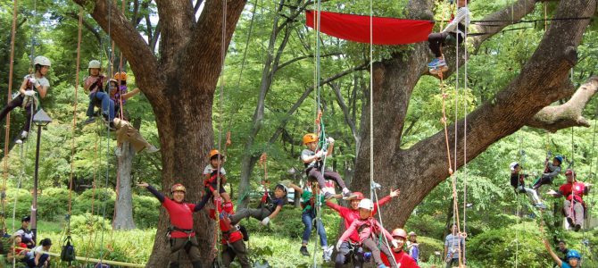 2R合同アクティビティ「ツリークライミング体験会」 5月19日(日)日比谷公園 2R合同アクティビティ「ツリークライミング体験会」 5月19日(日)日比谷公園