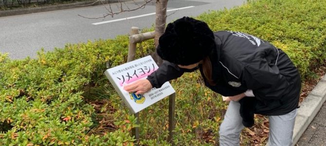 代々の環境保全活動に付いて現地調査を実施 1月14・16日 GST環境保全委員会 代々の環境保全活動に付いて現地調査を実施 1月14・16日 GST環境保全委員会