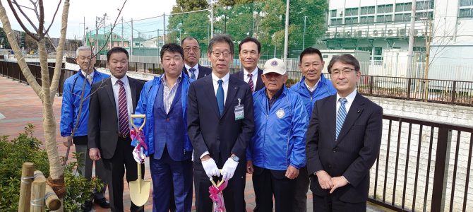 「桜」植樹 3月16日 東京石泉LC 「桜」植樹 3月16日 東京石泉LC